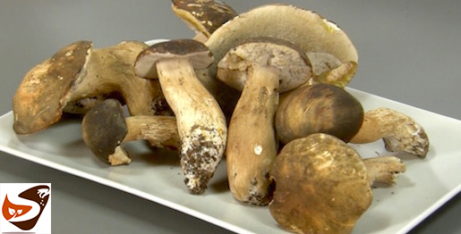 Come pulire i funghi porcini: freschi, secchi, champignon ...