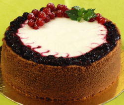 cheesecake-cotta-